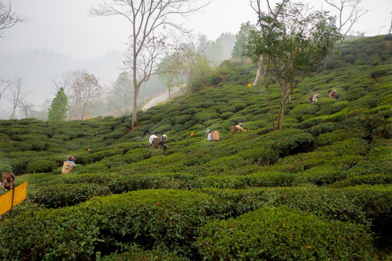 Ama Stays & Trails Puttabong Cottage, Darjeeling Darjeeling  Exterior foto